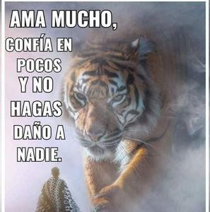 Meet your Posher, Castillo